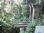 21896.jpg 21896.jpg