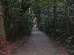21904.jpg 21904.jpg