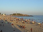 22148.jpg 22148.jpg