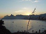 22210.jpg 22210.jpg