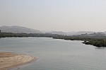 8318.jpg 8318.jpg