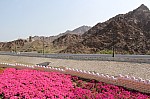 8435.jpg 8435.jpg