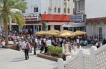 8575.jpg 8575.jpg