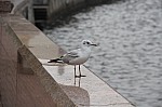 8597.jpg 8597.jpg