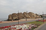 8606.jpg 8606.jpg