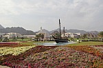 8735.jpg 8735.jpg