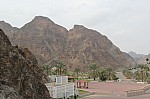 8746.jpg 8746.jpg