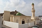 8772.jpg 8772.jpg
