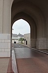 8779.jpg 8779.jpg