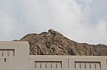 8780.jpg 8780.jpg