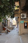 8896.jpg 8896.jpg