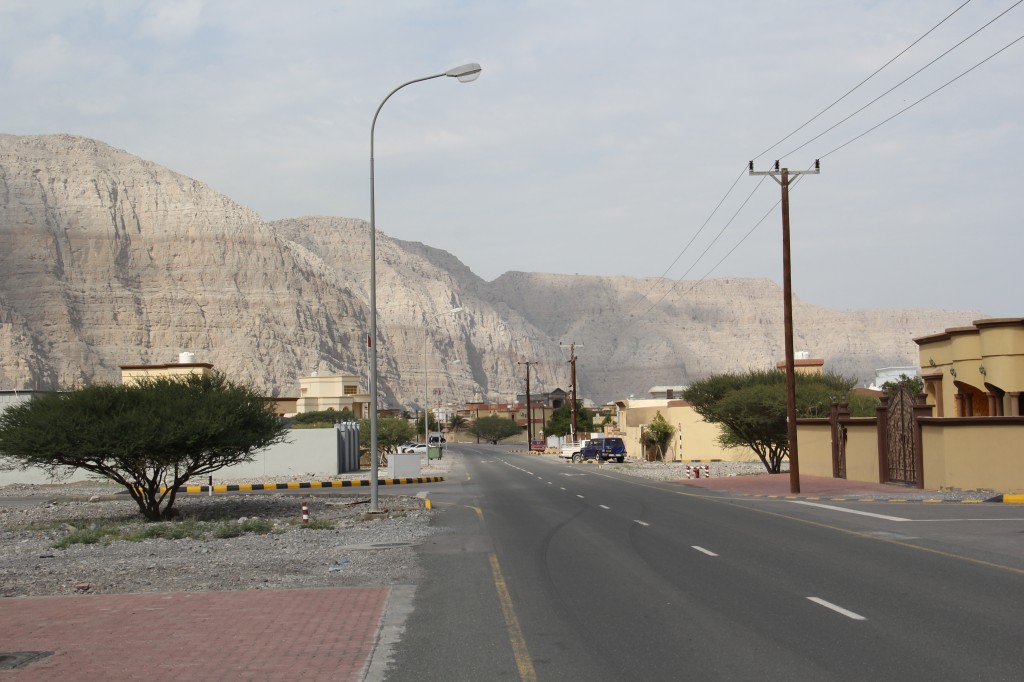 9151.jpg