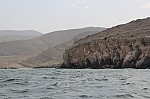 9178.jpg 9178.jpg