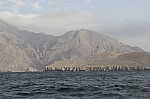 9180.jpg 9180.jpg