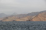 9254.jpg 9254.jpg