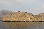 9399.jpg 9399.jpg