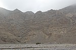9638.jpg 9638.jpg