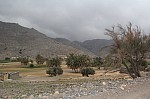 9752.jpg 9752.jpg