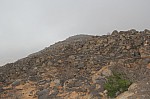 9813.jpg 9813.jpg