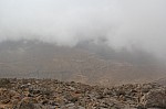 9825.jpg 9825.jpg