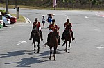 0173.jpg 0173.jpg