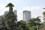 0375.jpg 0375.jpg