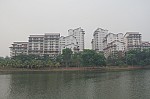 0594.jpg 0594.jpg