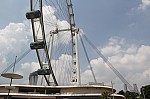 0950.jpg 0950.jpg