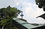 1271.jpg 1271.jpg