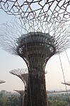1366.jpg 1366.jpg