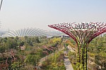 1367.jpg 1367.jpg