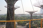 1371.jpg 1371.jpg