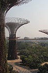 1375.jpg 1375.jpg