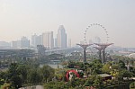 1381.jpg 1381.jpg