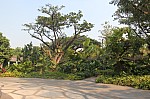1390.jpg 1390.jpg