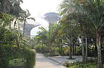 1398.jpg 1398.jpg