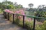 1403.jpg 1403.jpg
