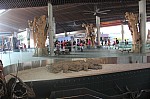 1431.jpg 1431.jpg