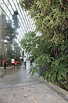 1441.jpg 1441.jpg