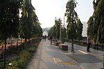1681.jpg 1681.jpg
