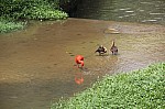 2031.jpg 2031.jpg