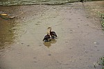 2037.jpg 2037.jpg
