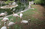 2046.jpg 2046.jpg