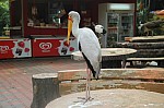 2075.jpg 2075.jpg