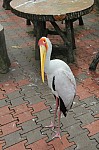 2077.jpg 2077.jpg