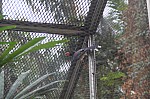 2102.jpg 2102.jpg