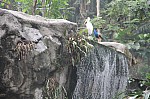 2110.jpg 2110.jpg