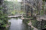 2115.jpg 2115.jpg