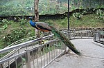 2116.jpg 2116.jpg
