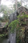 2117.jpg 2117.jpg